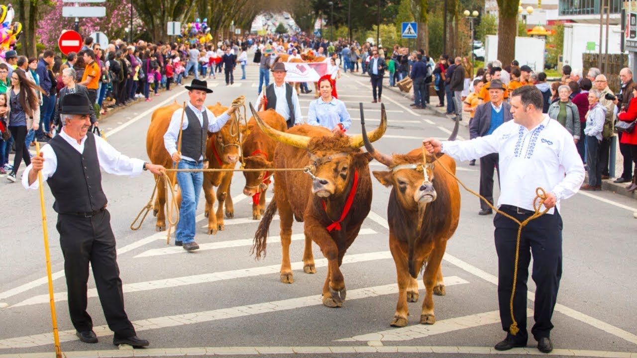 Desfile de Bois da Páscoa em Arcos de Valdevez