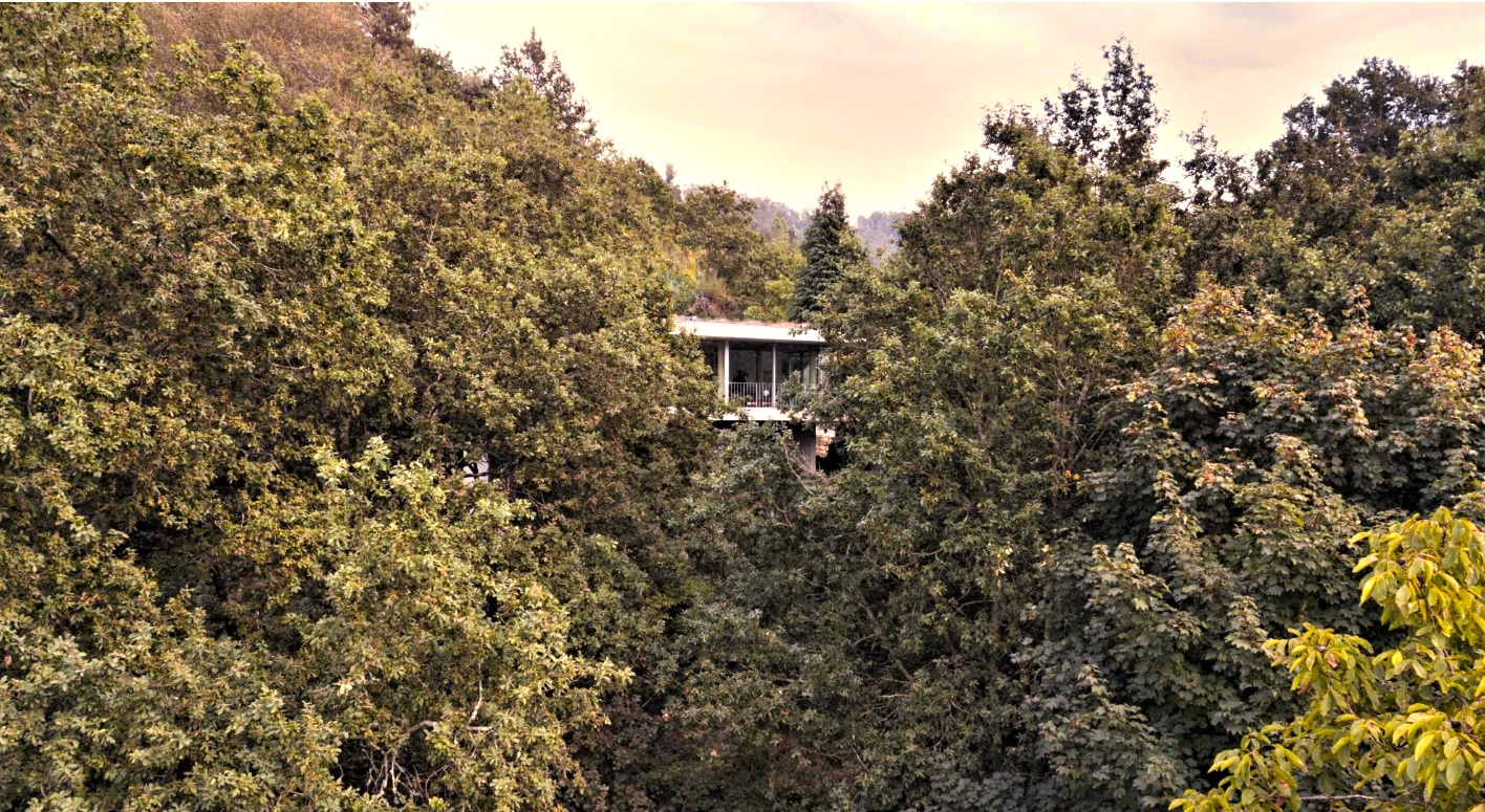 Em Ponte da Barca há uma casa suspensa no topo das árvores