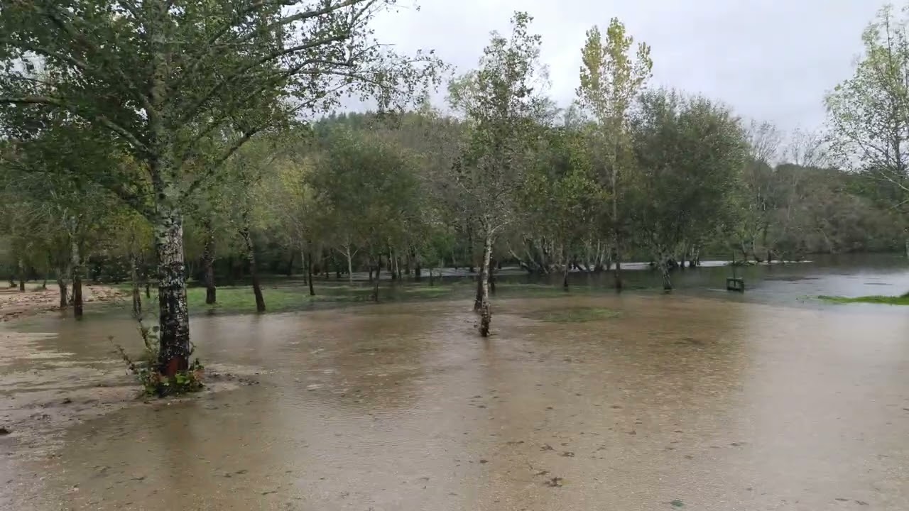 Rio Lima Transborda com a Intensidade das Chuvas!