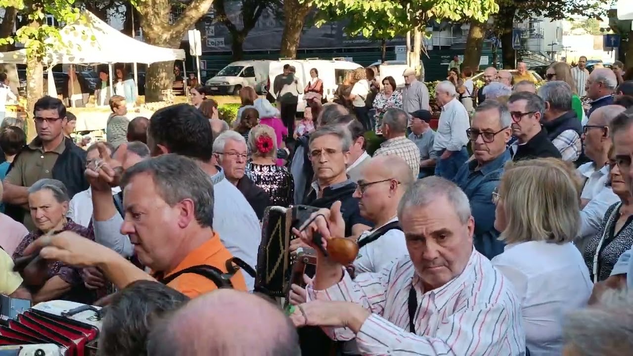 Que grande Roda de Concertinas Hoje em Vila Verde