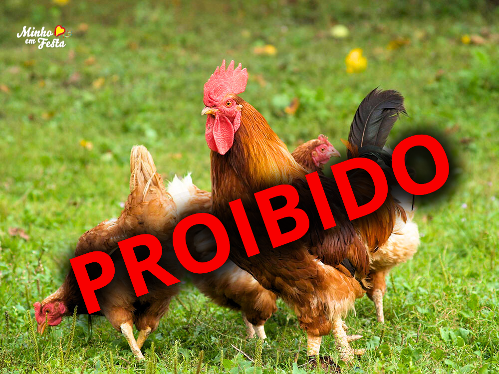 Gripe das Aves