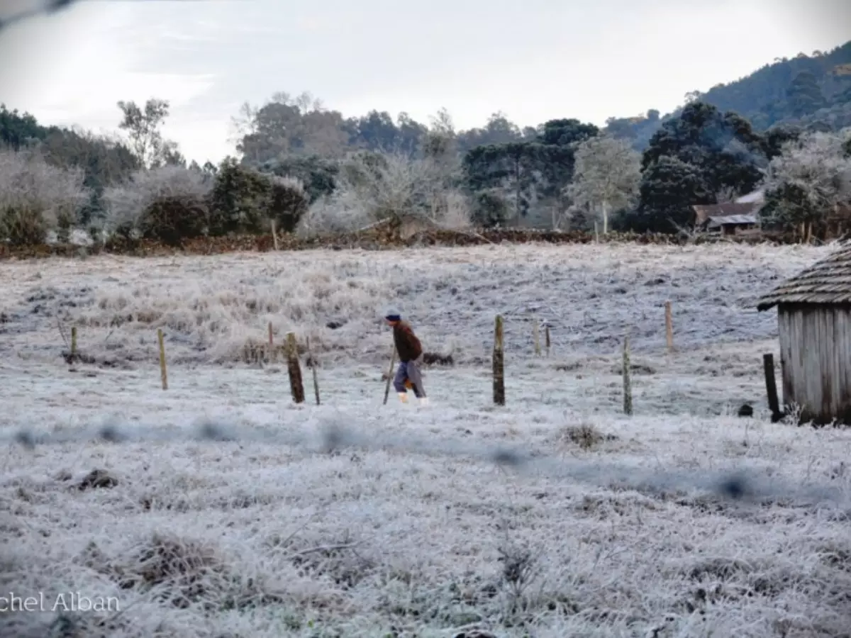 Mudança drástica do tempo: ar frio polar pode trazer temperaturas até aos -5ºC